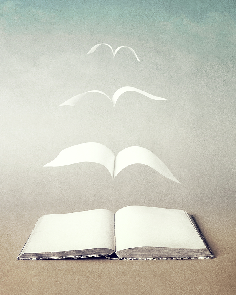 Zerissen & SinnVoll zuFrieden